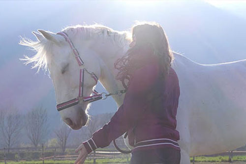 Teen with horse