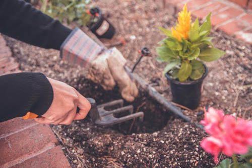 Teen digging in garden