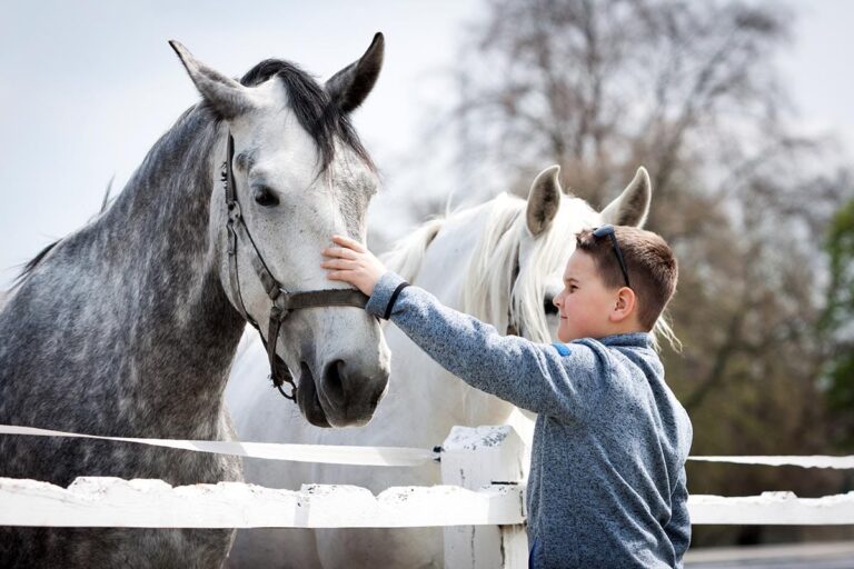 boy with horse learning about the best experiential therapies