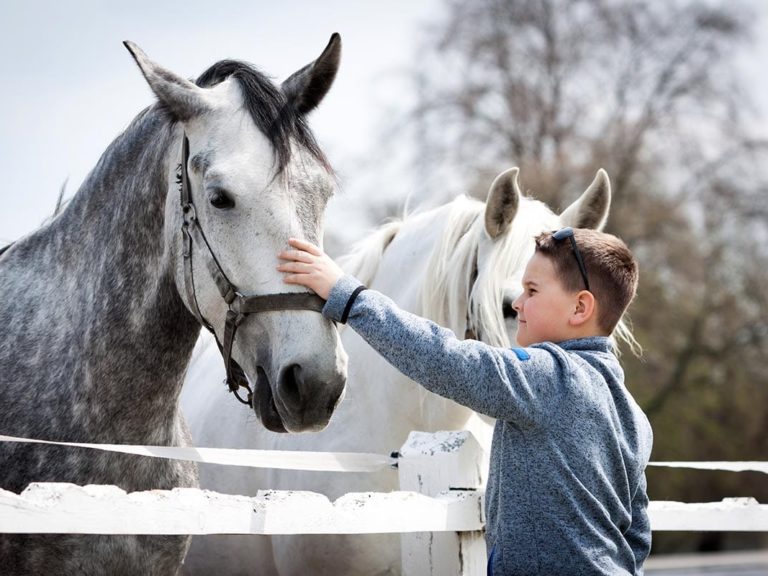 boy with horse learning about the best experiential therapies