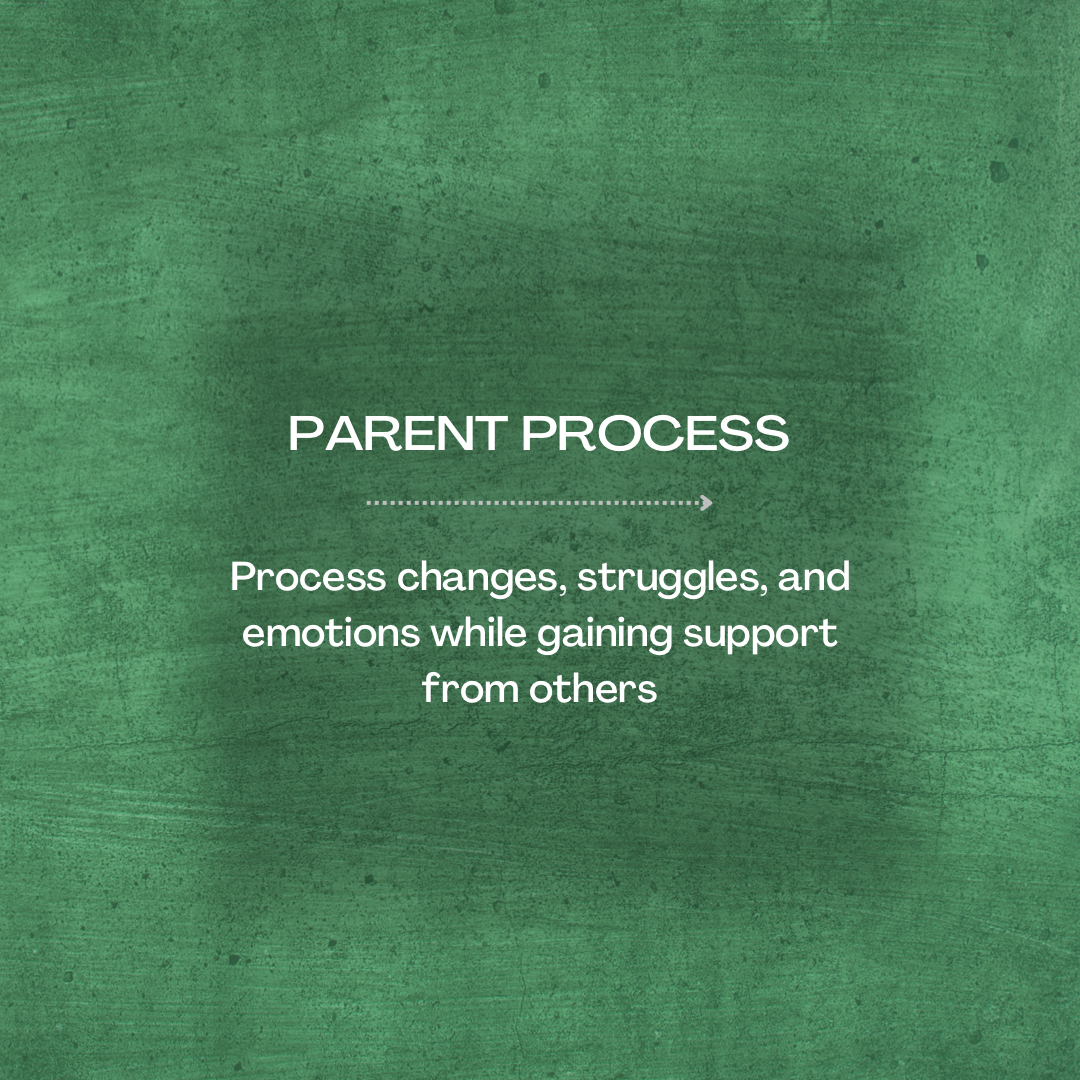 parent process