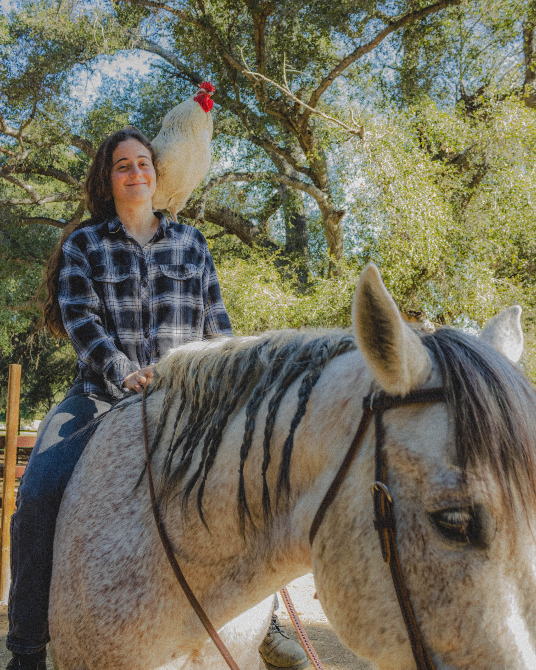 adina staff spotlight