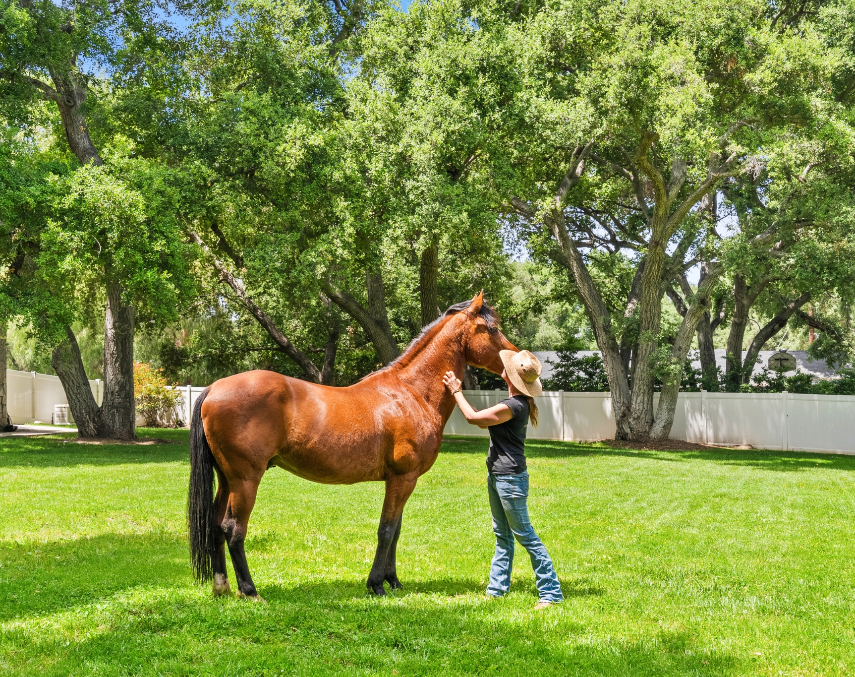 What makes Willows unique