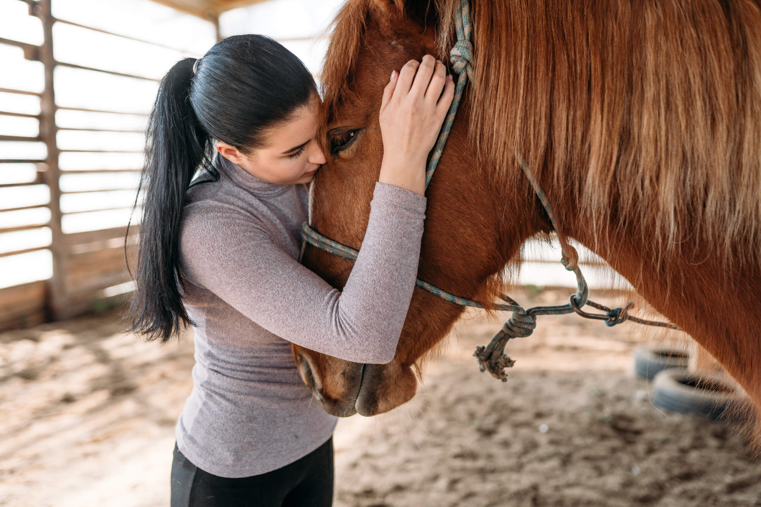 Ascend denver co erie teen therapy horse